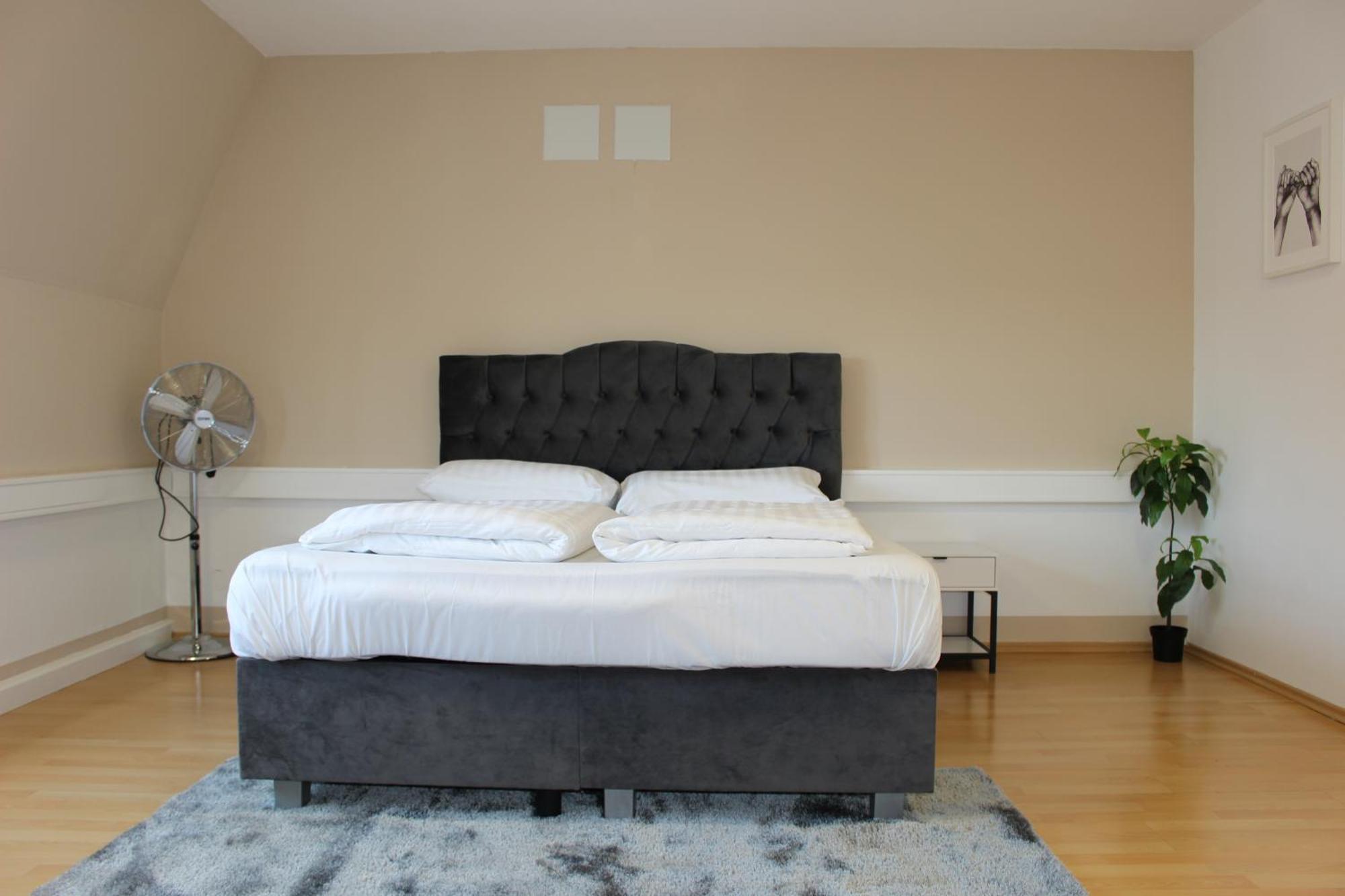 Deluxe Urban Apartment